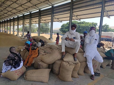 Looking at the farm laws from an economic perspective