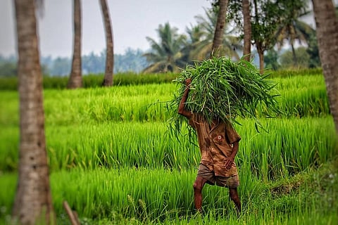 जलवायु परिवर्तन के अनुकूल रहने के लिए विकासशील देशों को हर साल चाहिए 5 लाख करोड़ रुपए