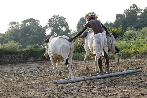 कोरोना से ज्यादा खतरनाक है जलवायु परिवर्तन: वर्ल्ड इकोनॉमिक फोरम