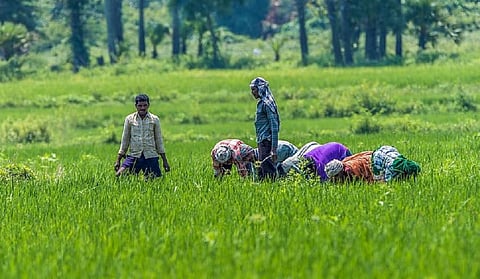 Crop risks, environmental damages, hunger and the 2020 farm laws