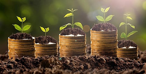Union Budget 2021-22 cuts funds for autonomous bodies under environment ministry