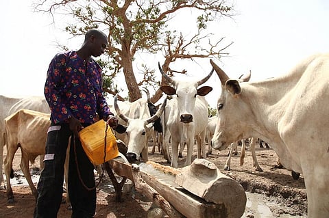 Insights from Fulani pastoralists and host communities in southwestern Nigeria