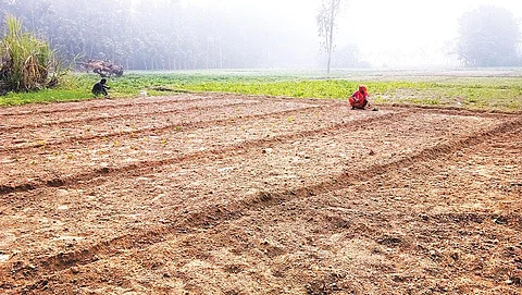 खाद्य सुरक्षा के लिए खतरा है मिट्टी की घटती गुणवत्ता