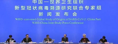 Photo: Peter Daszak / Twitter