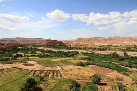 Land acquisitions threat to food diversity, security in Africa: Study
