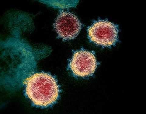 UK, South African, Brazilian: A virologist explains each COVID-19 variant, what they mean for the pandemic