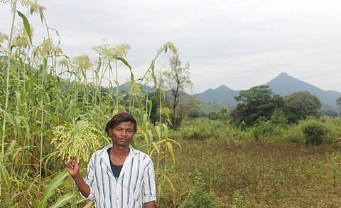 A tribal student from Narayanpatna block of Koraput district. Photo Credit: Abhijit Mohanty