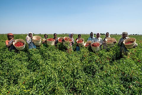 PM-KISAN: Agriculture ministry tells Parliament Rs 23,727 crore yet to be used