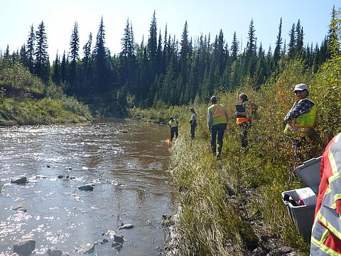 Healthy rivers: How DNA tool can help keep tabs on freshwater quality