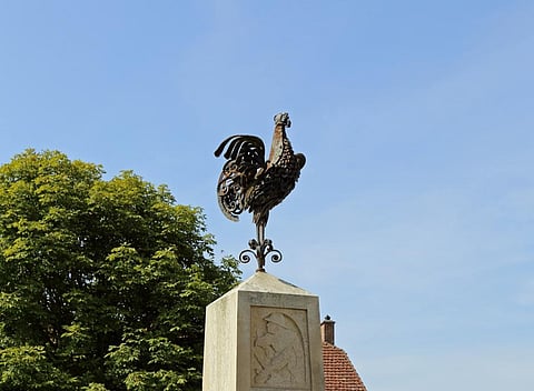 Rooster’s call for sensory heritage