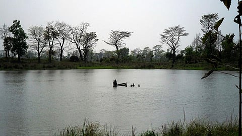 A lake near Valmiki Tiger Reserve. The tigress who had strayed out of the reserve and killed 3 in Bihar has died. Photo: Wikimedia Commons