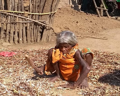 Kalahandi’s Kutia Kondhs: Subsistence a struggle for this tribe of nature worshippers