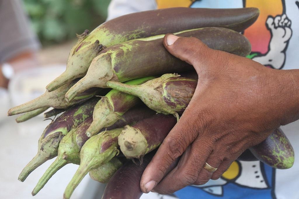 FSSAI's GMO threshold for imported food crops ‘unacceptably high’, says letter to health minister