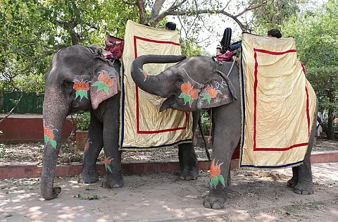 2019 में, पर्यावरण संबंधी 34,671 अपराध दर्ज किए गए थे। फोटो: विकास चौधरी