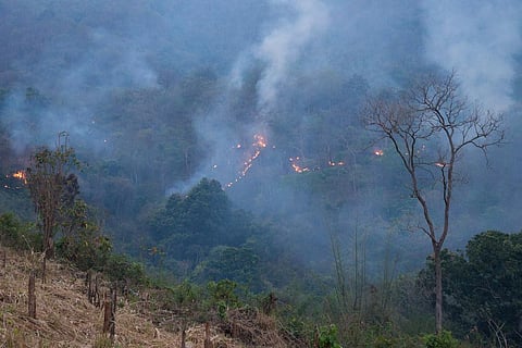 Representative image. Fire in Rayagada hills, Odisha. At least 5,291 forest fires were recorded in the state between February 22 and March 1, 2021. Photo:Flickr