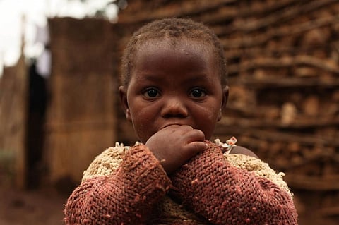 These 3 Cs can increase food insecurity in Africa, warn experts