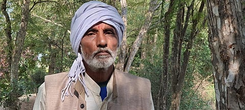 मीगनीं गांव की अपनी बगिया में माताप्रसाद तिवारी। फोटो: भागीरथ