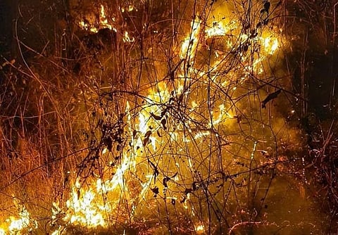 Similipal forest fire: It is time to act