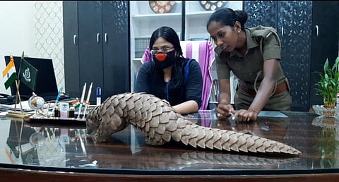 Sasmita Lenka (in blue) with a rescued pangolin. Photo: Ashis Senapati