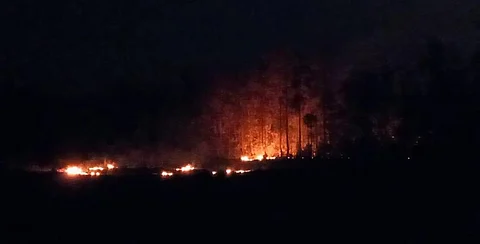 Similipal on fire. Photo: Ashis Senapati