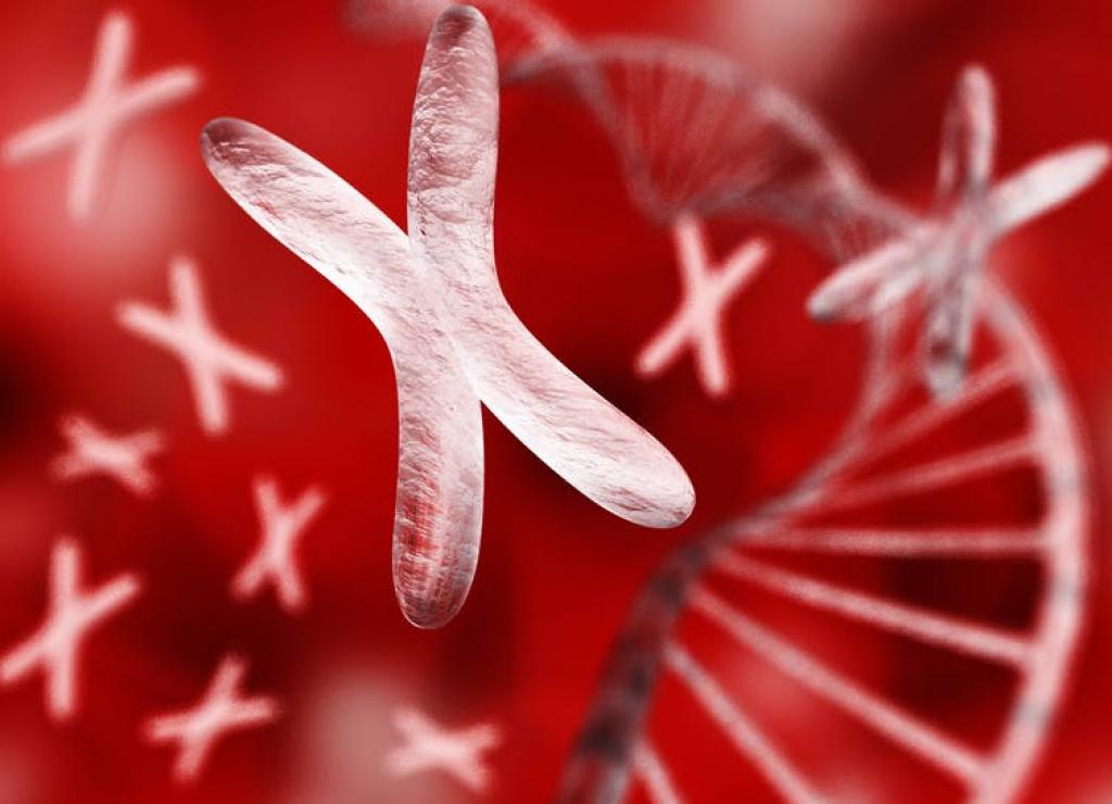 Gender bias in medicine and medical research is still putting women’s health at risk