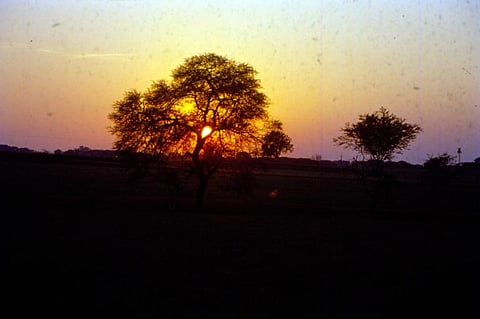 World Environment Day: It is time to act