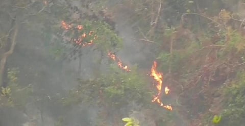 Similipal fires enter core areas, firefighters struggle in inaccessible forests