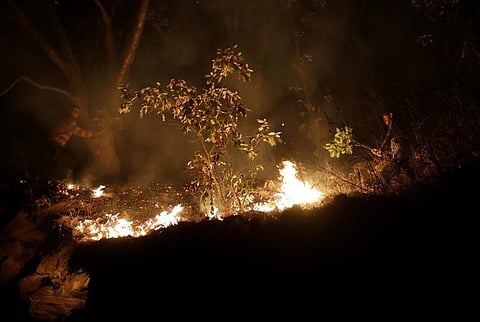 Two arrested in Odisha’s Kandhamal for trying to set forest on fire