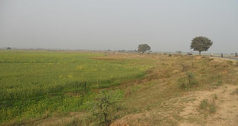 Paddy fields in Buxar district in Bihar. At the moment, most of the procurement centres in the state are not operating regularly and transparently and therefore, the target of procurement of paddy has not been achieved. Photo: Wikimedia Commons