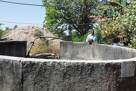 Construction of water conservation structures has helped farmers set up a fruit orchard in Gujarat’s Sabarkantha district (Photographs: Jumana Shah)