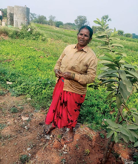 Residents of Manchal village in Telangana’s Ranga Reddy district levelled their undulating lands and used the stones to form bunds around the field (Photograph: Shagun Kapil)