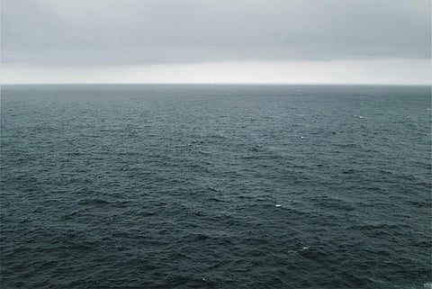 Photo : Wikimedia Commons