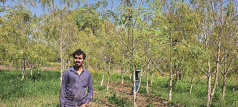 डाउन टू अर्थ ने मध्य प्रदेश के टीकमगढ़ जिले के नादिया गांव का दौरा किया।