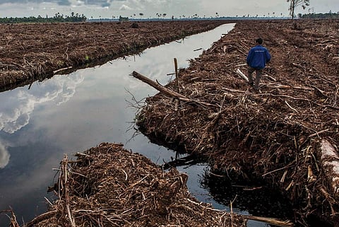 Picture : University of British Columbia Okanagan campus