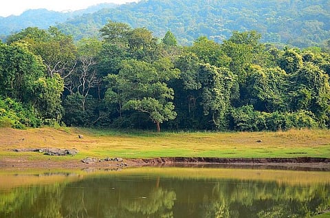 Forest rights in Jharkhand: Too early to rejoice