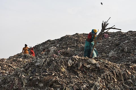 इलाहाबाद (प्रयागराज) से निकलने वाले कूड़े को शहर से लगभग दस किलोमीटर दूर बसवार गांव के पास बने प्लांट में इकट्ठा किया जाता है। फोटो: गौरव गुलमोहर