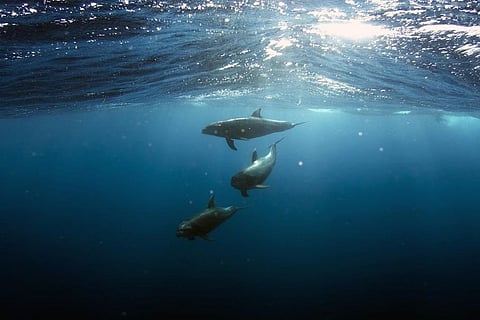 क्यों पहले की तुलना में 6 गुना ज्यादा स्थिर होते जा रहे हैं महासागर?