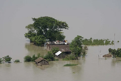 Photo : Wikimedia Commons