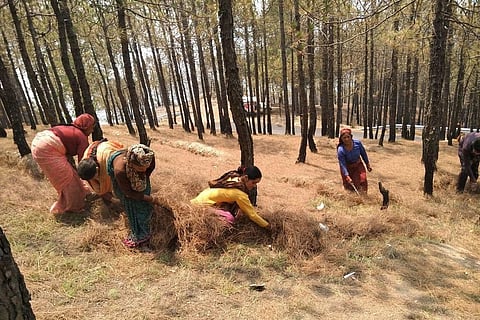 Forests under indigenous people more protected, says new report