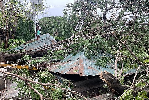 Photo: Wikimedia Commons, Post Cyclone Amphan situation of Deshbandhu park in Kolkata, West Bengal, India.