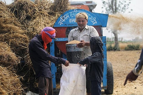 पंजाब में गेहूं बेचने वाले किसानों को कैसे होगा भुगतान, नहीं हुआ तय