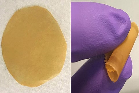 पीएएफ के नैनोकणों को शामिल करने वाला एक लचीली पॉलीमर झिल्ली जो पानी से विषाक्त धातुओं को लगभग 100 फीसदी निकाल देता है तथा स्वच्छ, सुरक्षित पानी का उत्पादन करता है। (यूसी बर्कले फोटो : एडम उलियाना )