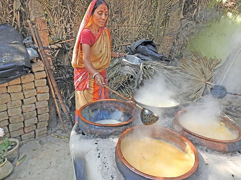 Nolen gur (date palm jaggery)is produced by boiling the sap from the tree for an hour. The sap collected has to be turned into jaggery the same day, else it ferments (Photographs: Medha Basu)