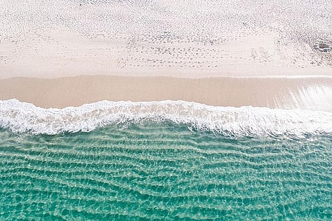 Photo : Wikimedia Commons