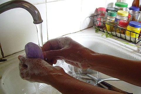 Photo : Wikimedia Commons