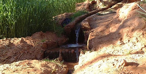 Foggara is a water management system in North African countries in which water from an underground aquifer is brought to the surface through channels. This is the exit of a foggara channel in Libya. Photo: Wikipedia