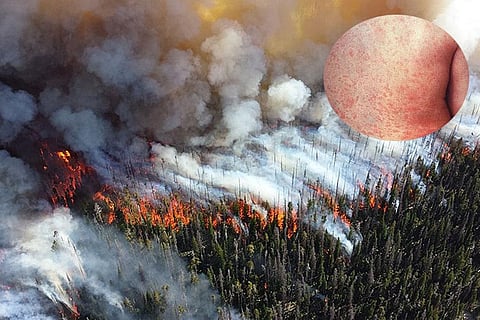 Photo : Wikimedia Commons