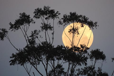 आज देखिए सुपरमून और यहां जानिए पर्यावरण और जलवायु के दृष्टिकोण से क्यों है यह महत्वपूर्ण