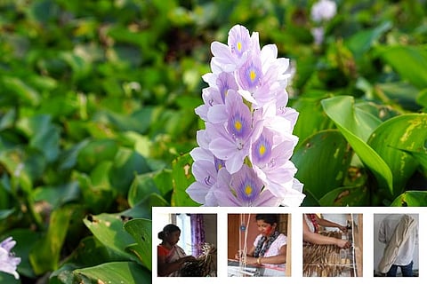 असम के युवाओं ने झीलों को जलकुंभी के प्रकोप से बचाने के लिए बनाई बायोडिग्रेडेबल मैट