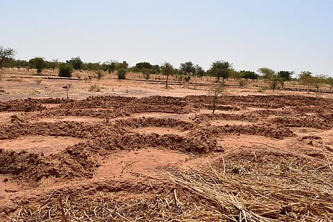 Climate change: Food production in Africa’s Sudano-Sahelian Zone under threat, finds study